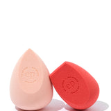 Bio All-Beauty Sponge
