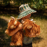 Henry The Highland Cow