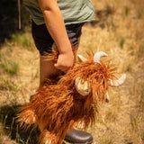 Henry The Highland Cow