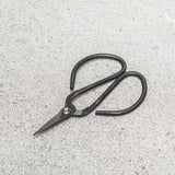 Mini Scissors