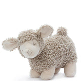 Charlotte the Sheep
