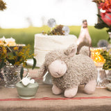 Charlotte the Sheep