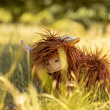 Heidi The Highland Cow
