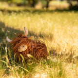 Heidi The Highland Cow
