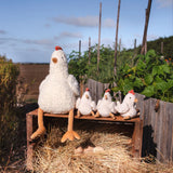 Mini Henrietta The Hen Rattle