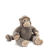 Maisie the Monkey