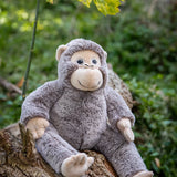 Maisie the Monkey