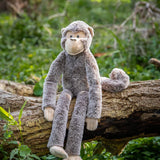 Mani the Monkey