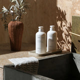 Saebe Dish & Hand Wash Duo
