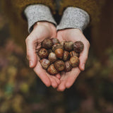 The Art of Slow Living