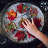 The Art of Slow Living