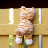 Ginger The Kitten