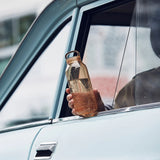 Water Bottle Amber